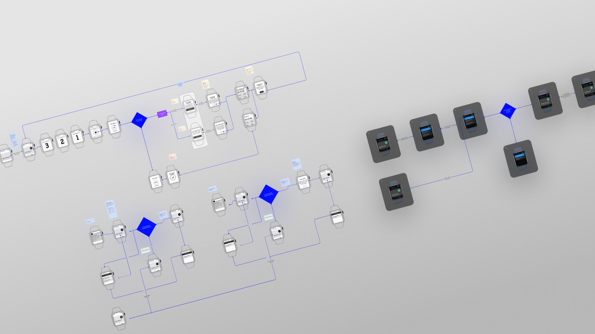 Sports Science detail 1